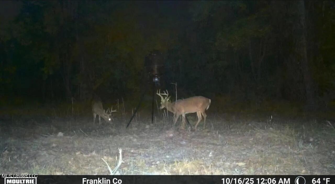4 Old Hamburg Roxie Road Northwest Roxie, MS 39661 - Photo 21 of 38 1-5825751343