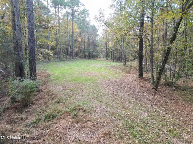 $365,000 | 4 Old Hamburg Roxie Road Northwest, Roxie, MS 39661