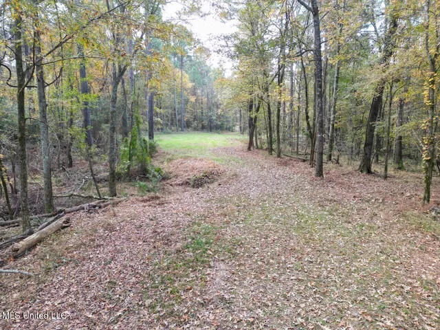 $365,000 | 4 Old Hamburg Roxie Road Northwest, Roxie, MS 39661
