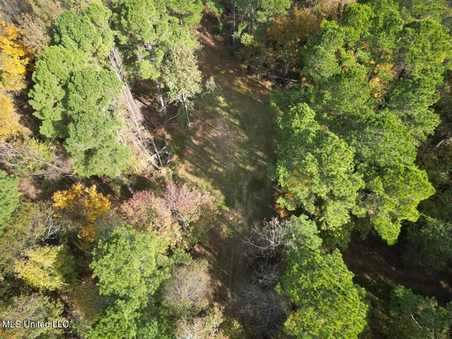 $365,000 | 4 Old Hamburg Roxie Road Northwest, Roxie, MS 39661