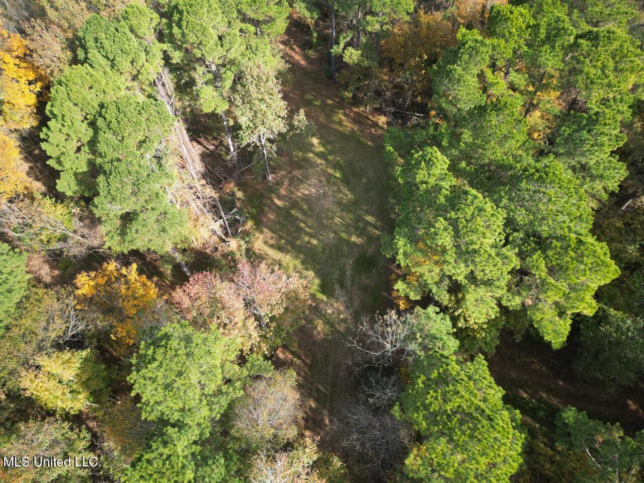 4 Old Hamburg Roxie Road Northwest Roxie, MS 39661 - Photo 31 of 38 DJI_0980 Large