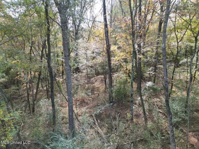 $365,000 | 4 Old Hamburg Roxie Road Northwest, Roxie, MS 39661