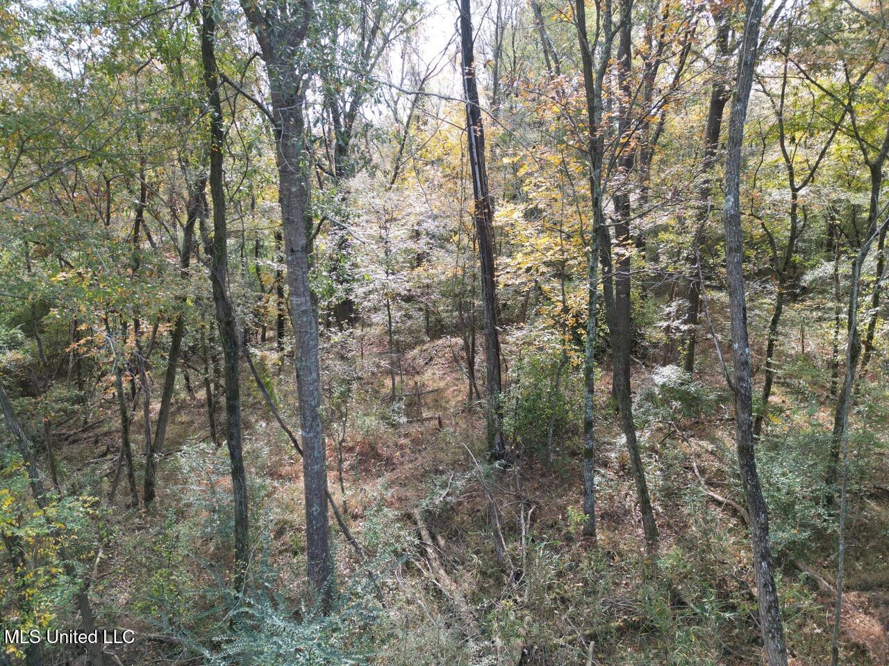 4 Old Hamburg Roxie Road Northwest Roxie, MS 39661 - Photo 32 of 38 DJI_0981 Large