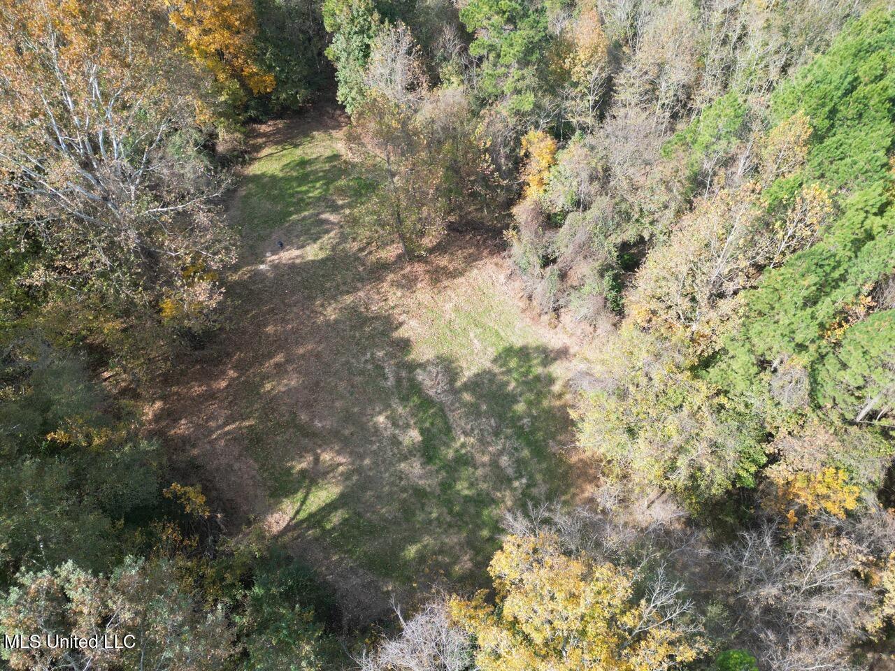 4 Old Hamburg Roxie Road Northwest Roxie, MS 39661 - Photo 33 of 38 DJI_0983 Large