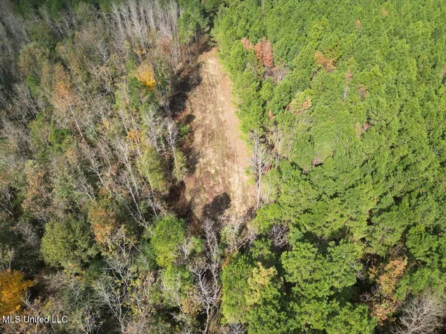 $365,000 | 4 Old Hamburg Roxie Road Northwest, Roxie, MS 39661