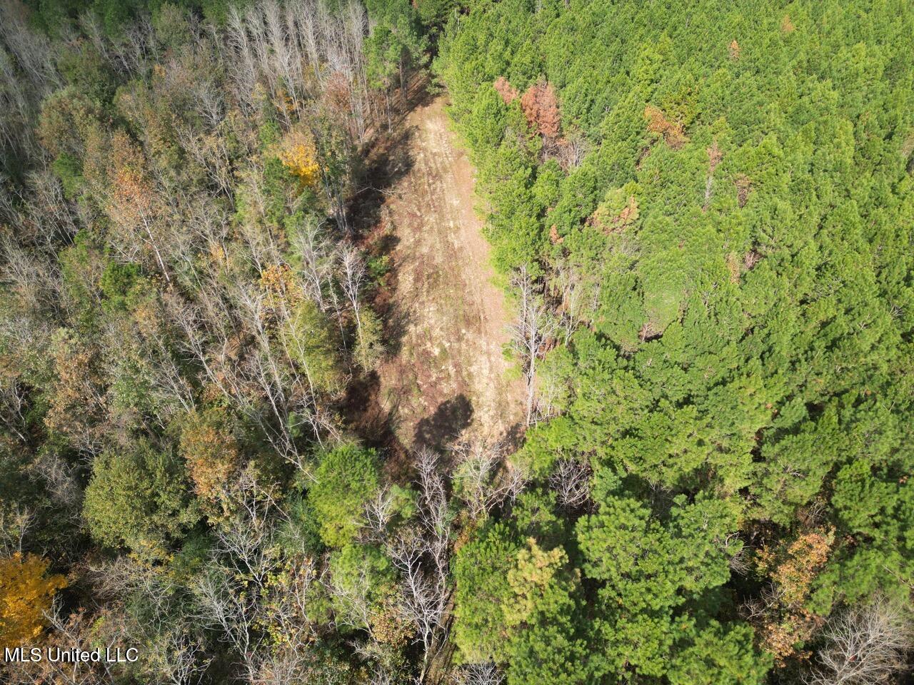 4 Old Hamburg Roxie Road Northwest Roxie, MS 39661 - Photo 34 of 38 DJI_0984 Large