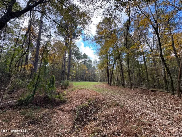 $365,000 | 4 Old Hamburg Roxie Road Northwest, Roxie, MS 39661