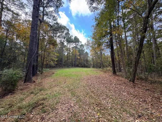 $365,000 | 4 Old Hamburg Roxie Road Northwest, Roxie, MS 39661