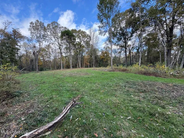 $365,000 | 4 Old Hamburg Roxie Road Northwest, Roxie, MS 39661