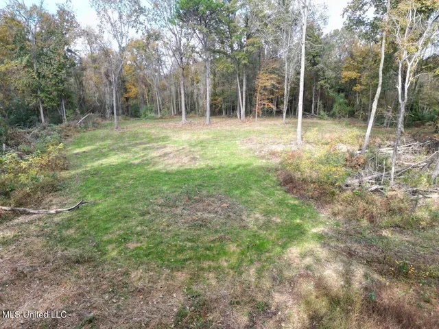 $365,000 | 4 Old Hamburg Roxie Road Northwest, Roxie, MS 39661