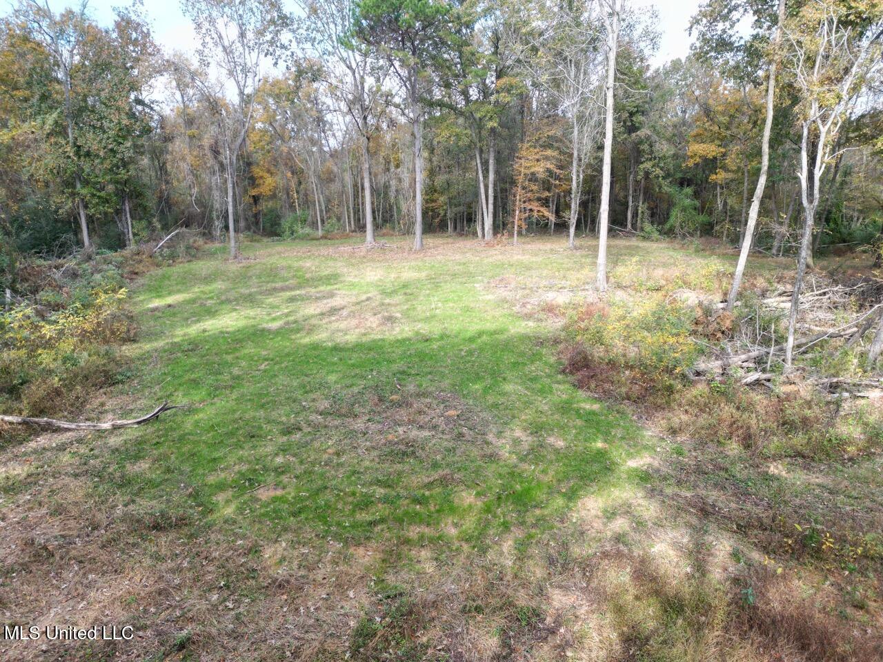 4 Old Hamburg Roxie Road Northwest Roxie, MS 39661 - Photo 5 of 38 DJI_0982 Large