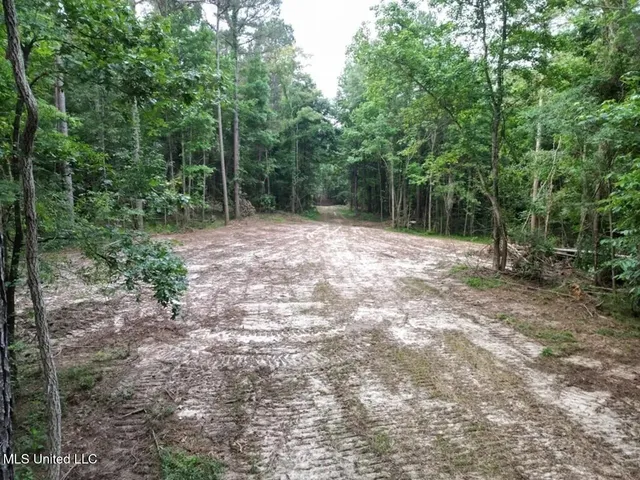 $365,000 | 4 Old Hamburg Roxie Road Northwest, Roxie, MS 39661