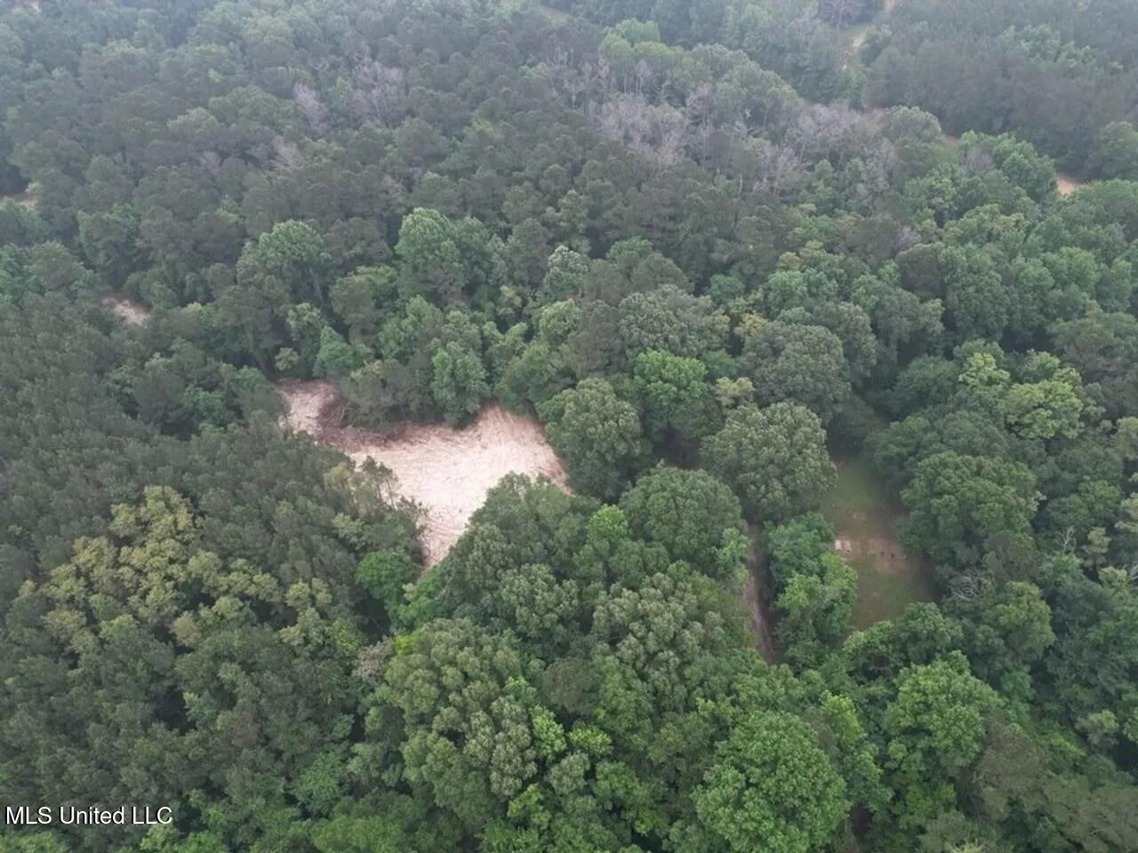 4 Old Hamburg Roxie Road Northwest Roxie, MS 39661 - Photo 7 of 38 1-5825751256