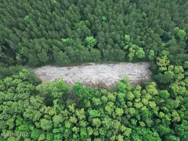 $365,000 | 4 Old Hamburg Roxie Road Northwest, Roxie, MS 39661