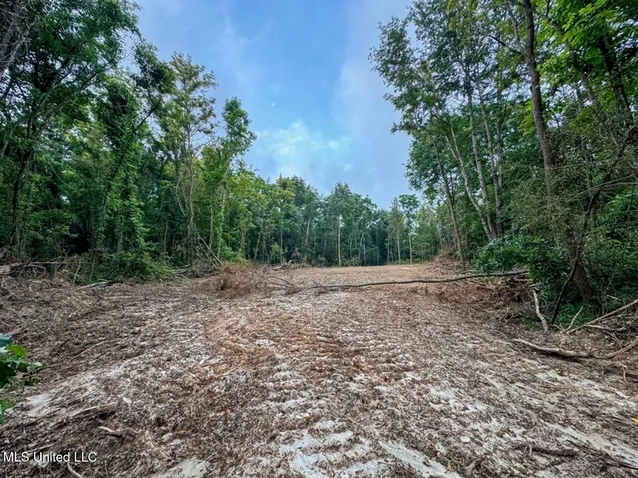 4 Old Hamburg Roxie Road Northwest Roxie, MS 39661 - Photo 10 of 38 1-5825751269