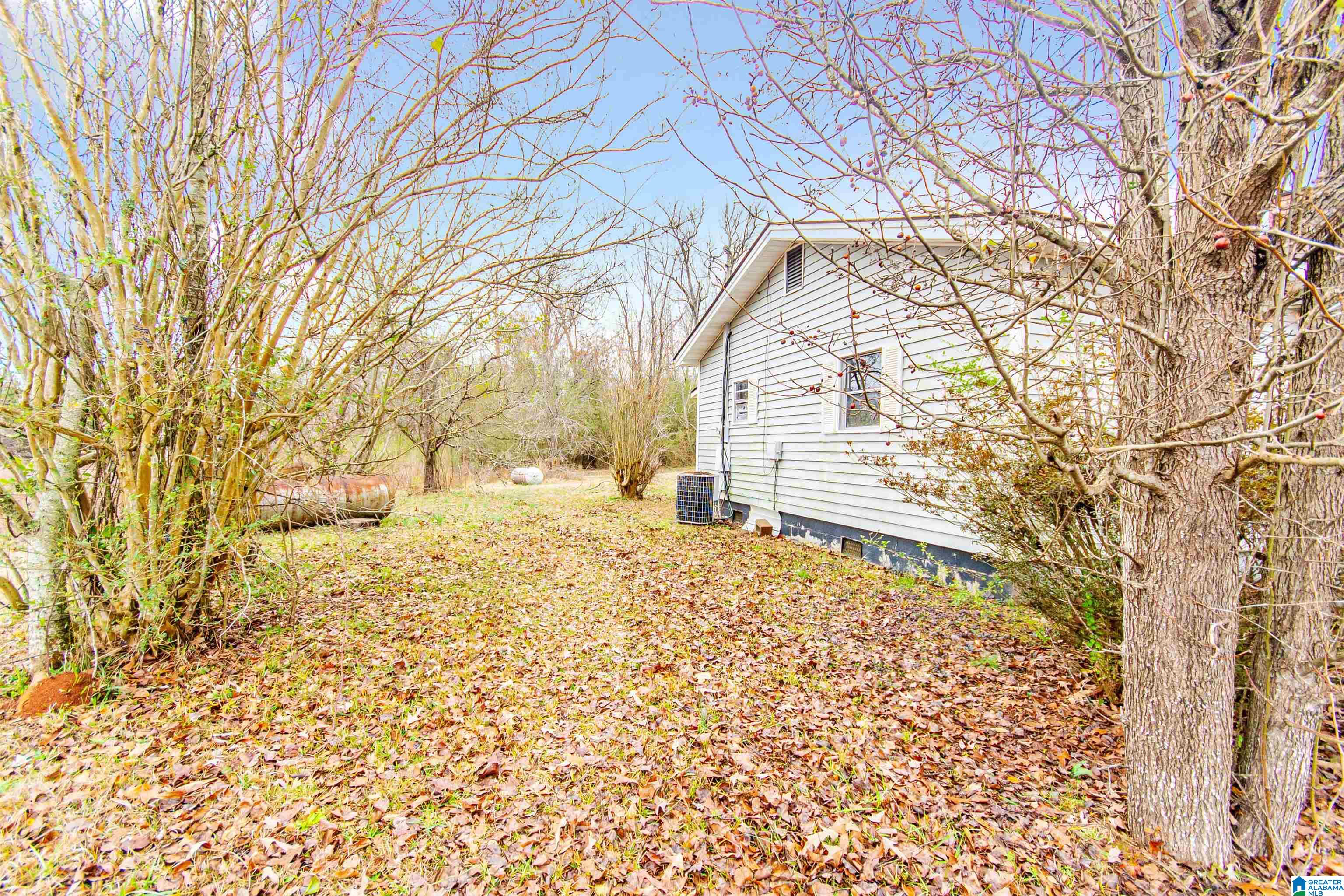 1482 Old Kellyton Road Alexander City, AL 35010 - Photo 3 of 28