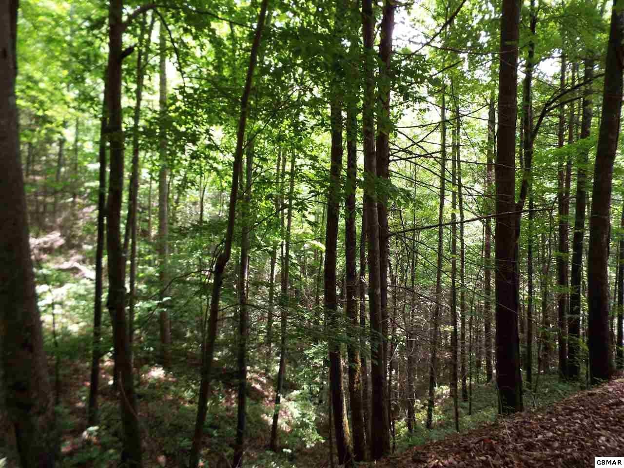 15 Meadow View Road Sevierville, TN 37862 - Photo 19 of 24