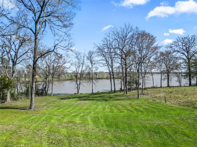 a view of yard with trees