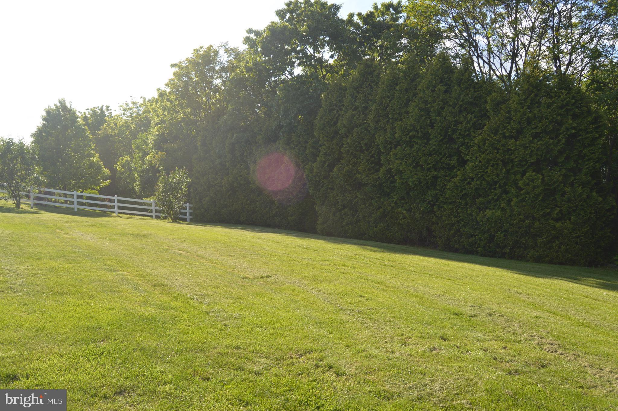 641 Brownsville Road Reading, PA 19608 - Photo 21 of 27 Rear yard