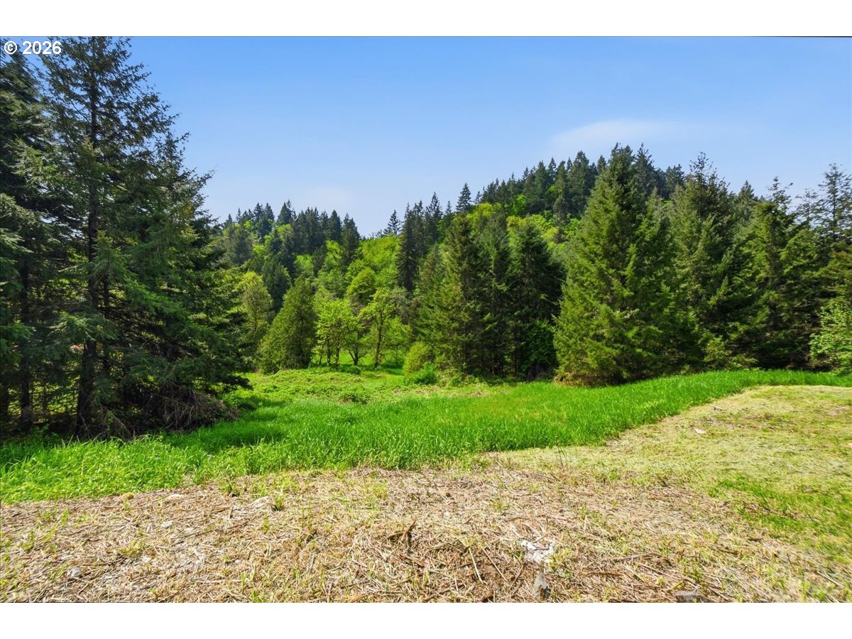 66801 Bishop Creek Road Deer Island, OR 97054 - Photo 26 of 35