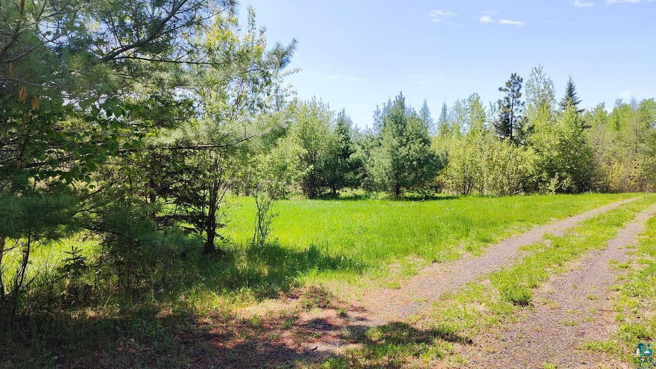 80048 Waters Of Vermilion Road Tower, MN 55790 - Photo 6 of 47 View of local wilderness featuring a wooded view
