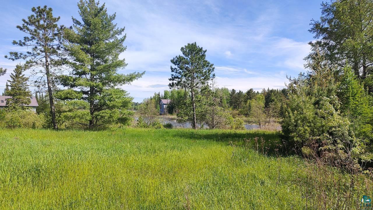 80048 Waters Of Vermilion Road Tower, MN 55790 - Photo 7 of 47 View of yard
