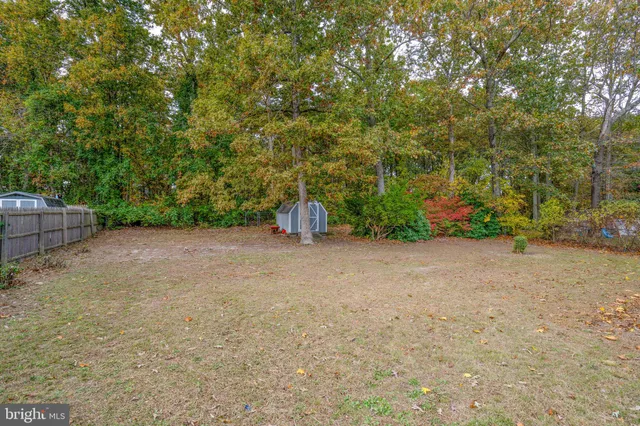 a view of backyard with green space
