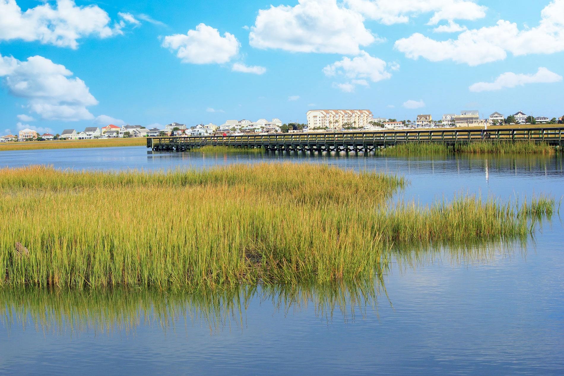 621 Sailbrooke Court, Unit 101 Murrells Inlet, SC 29576 - Photo 45 of 45