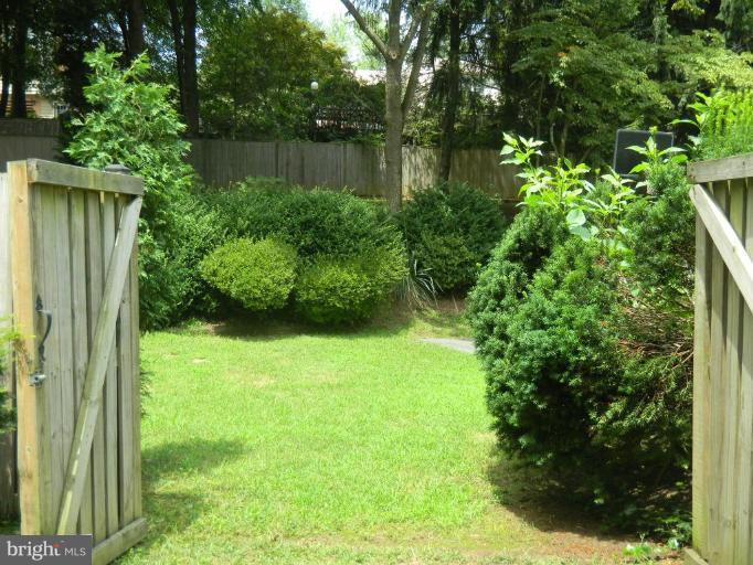 14104 Rippling Brook Drive Silver Spring, MD 20906 - Photo 2 of 10 Back yard