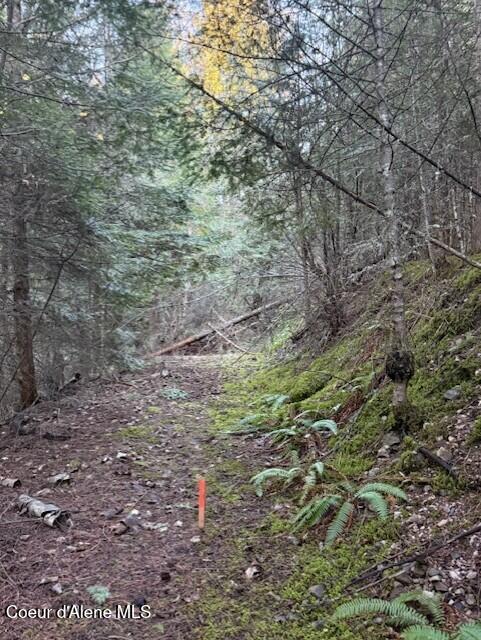 Nna East Half Round Bay Road Harrison, ID 83833 - Photo 3 of 9 Dubois Lot 5 East Boundary Marker