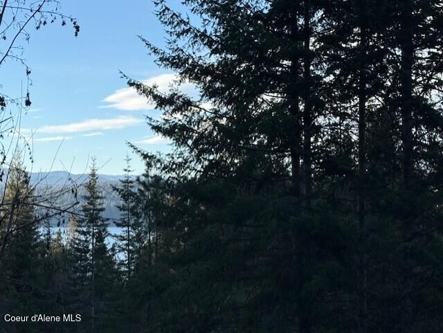 Nna East Half Round Bay Road Harrison, ID 83833 - Photo 5 of 9 Dubois Lot 5 Lake View