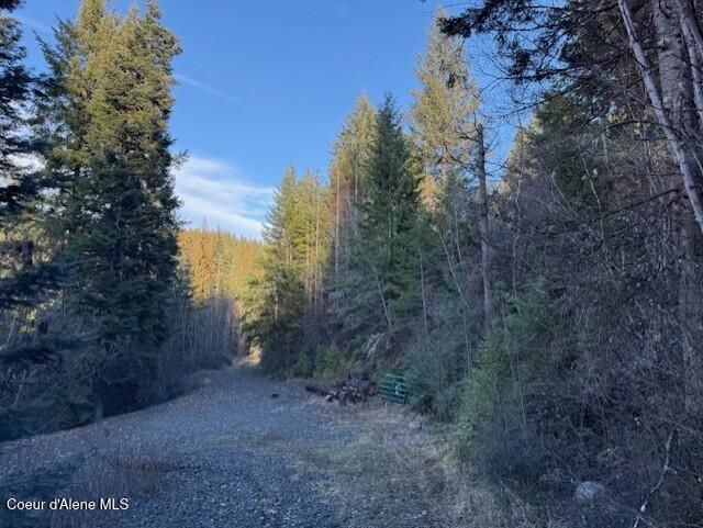 Nna East Half Round Bay Road Harrison, ID 83833 - Photo 6 of 9 Dubois Lot 5 Looking East