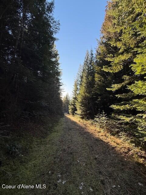 Nna East Half Round Bay Road Harrison, ID 83833 - Photo 7 of 9 Dubois Lot 5 Looking West
