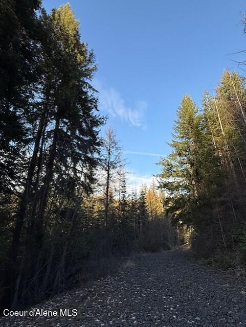 Nna East Half Round Bay Road Harrison, ID 83833 - Photo 8 of 9 Dubois Lot 5 Road East