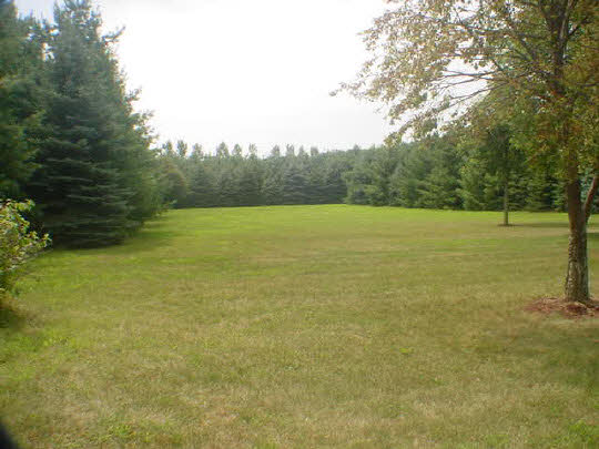 3524 Yale Bridge Road Rockton, IL 61072 - Photo 3 of 6 Gallery Image 3