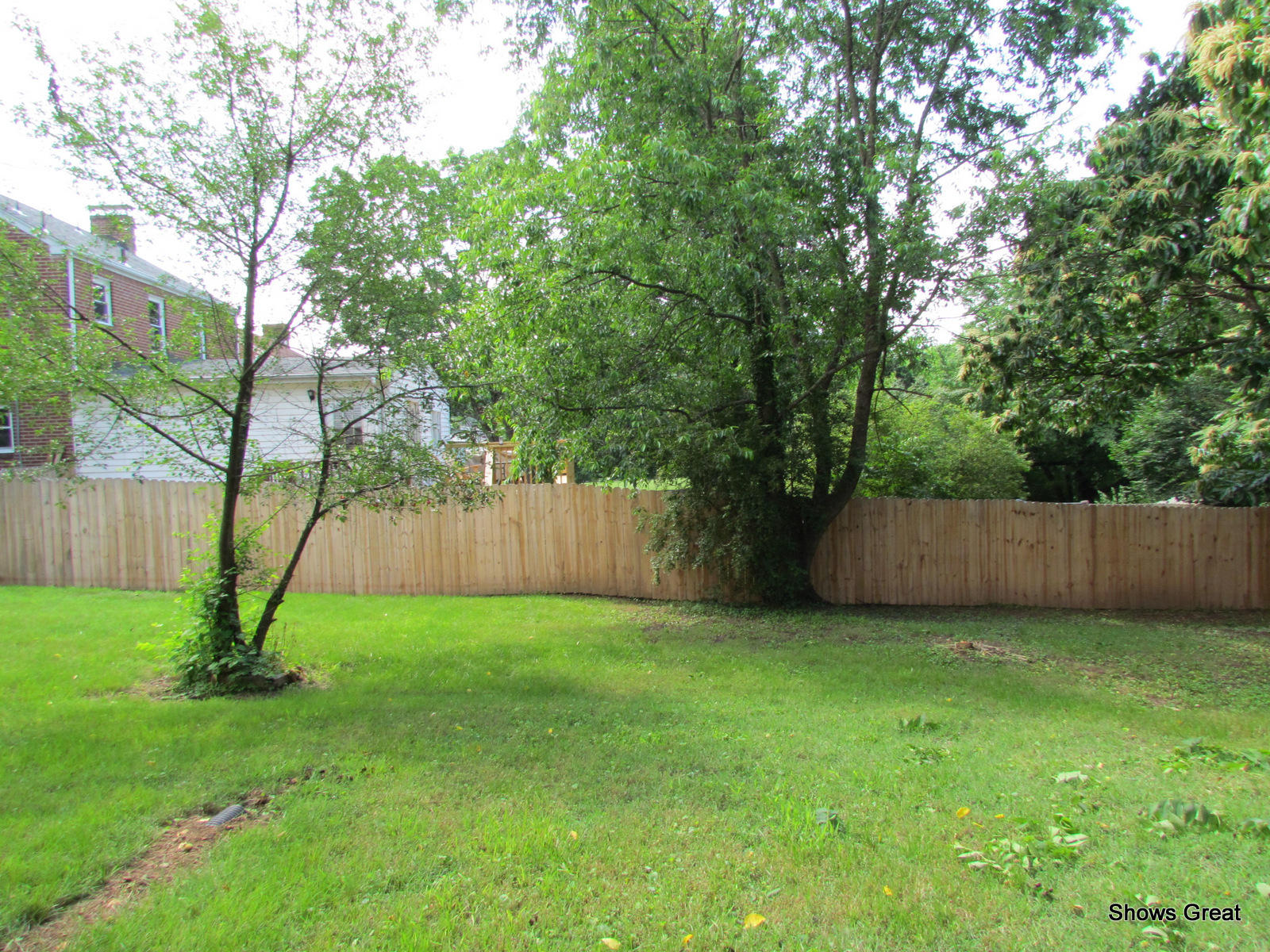 2517 Weaver Road Southwest Roanoke, VA 24015 - Photo 12 of 50 side yard