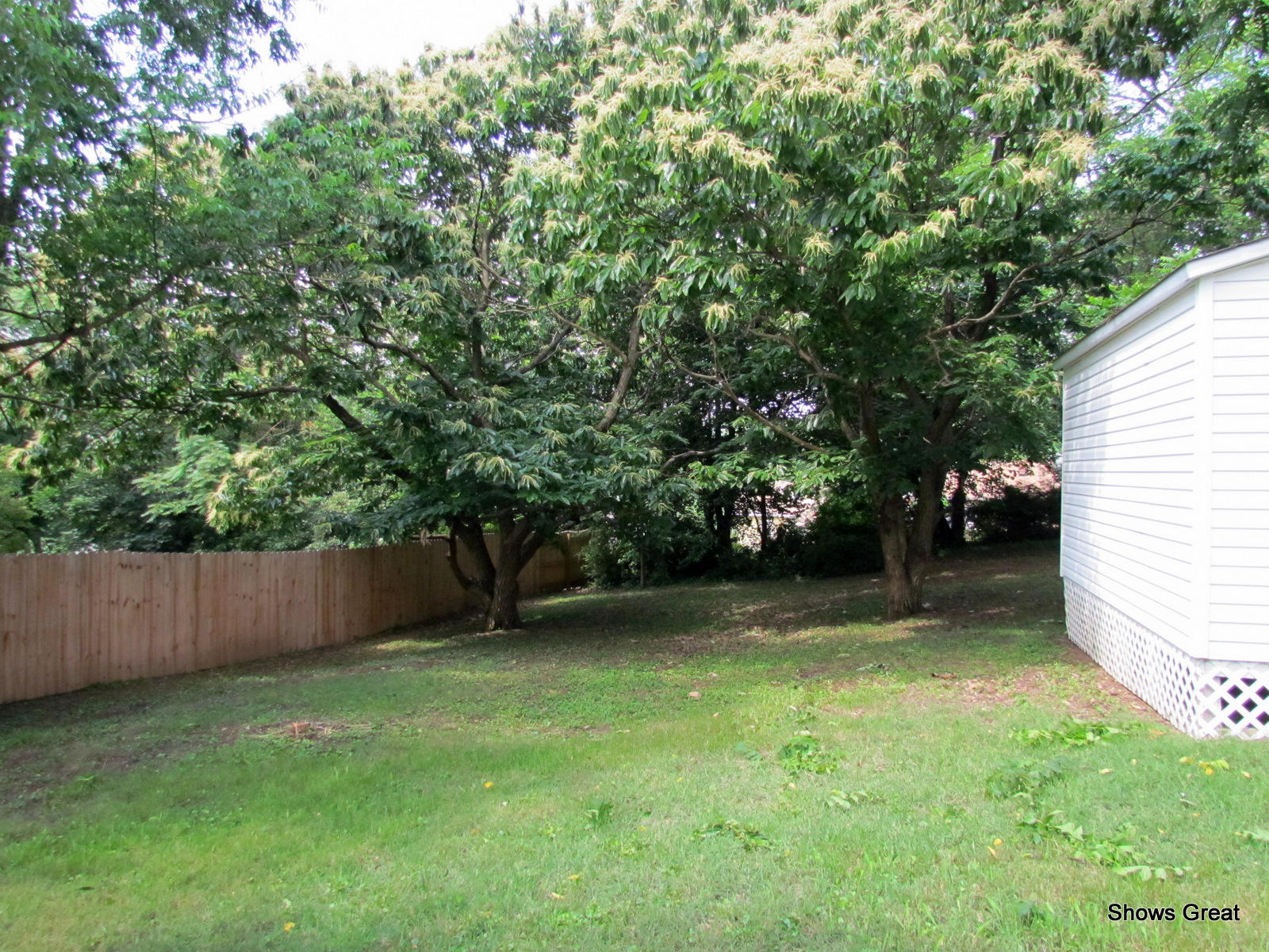 2517 Weaver Road Southwest Roanoke, VA 24015 - Photo 13 of 50 back yard area