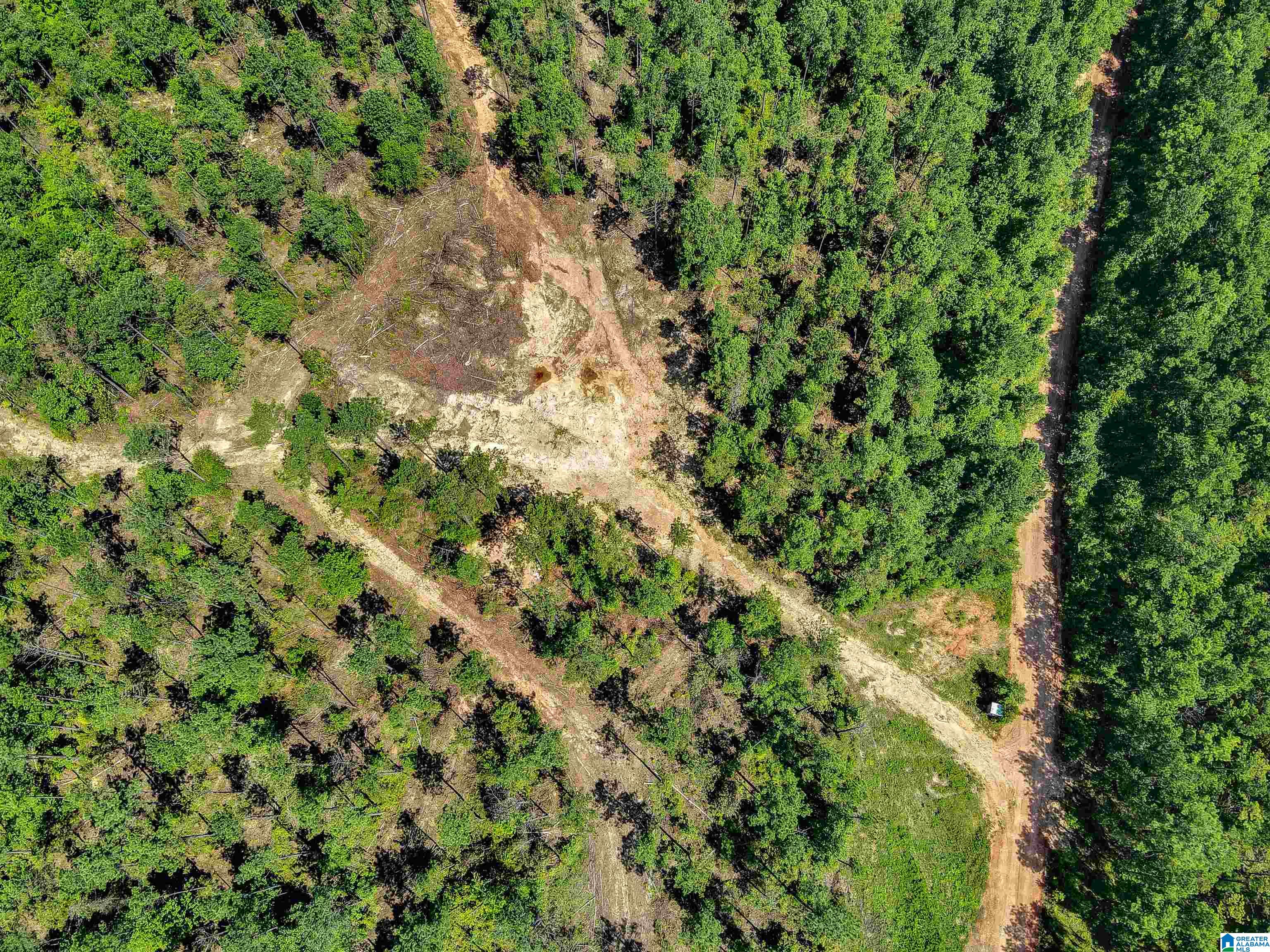 0 County Road 465, Unit 1 Clanton, AL 35045 - Photo 15 of 16