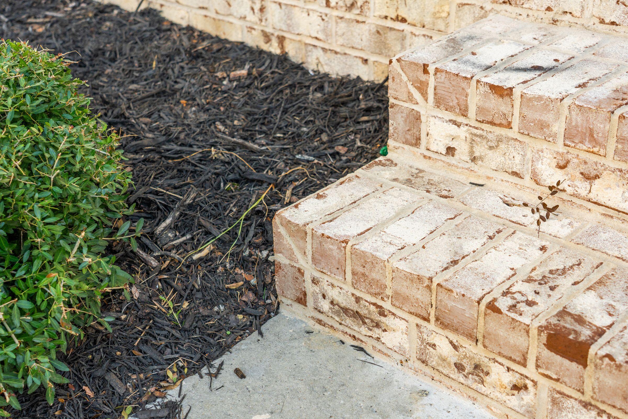 1326 Reader Path Mount Mount Pleasant, SC 29464 - Photo 9 of 50 1326ReaderPath-KeenEyeMarketing-009