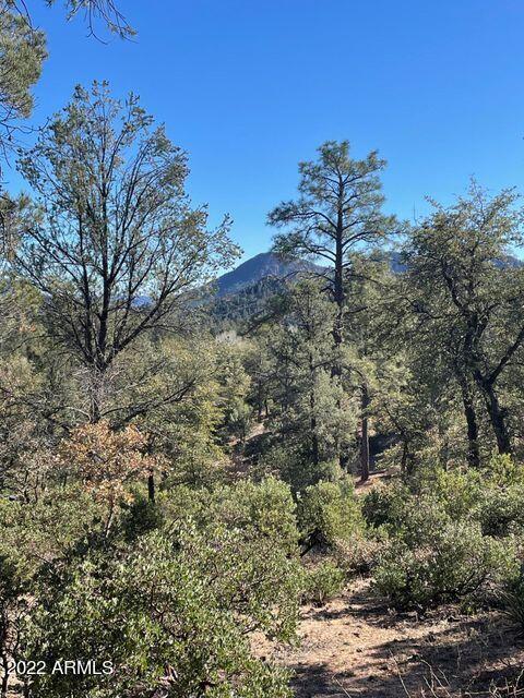 2504 South Rim Club Drive, Unit 117 Payson, AZ 85541 - Photo 6 of 8 2504rim6