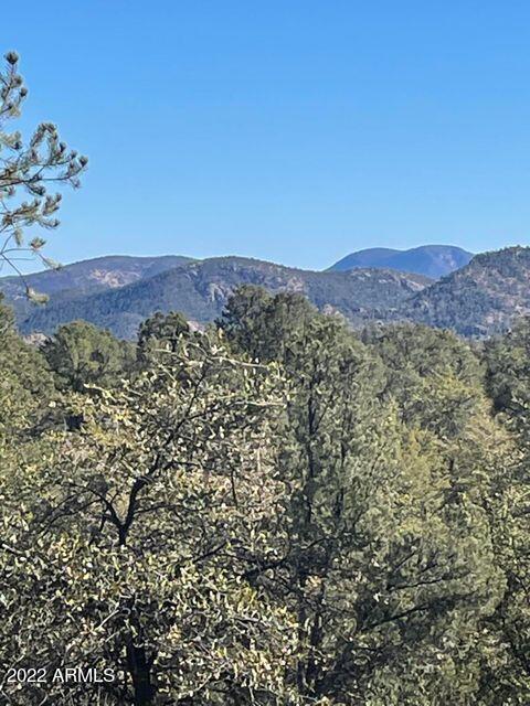 2504 South Rim Club Drive, Unit 117 Payson, AZ 85541 - Photo 7 of 8 2504rim7