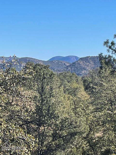 2504 South Rim Club Drive, Unit 117 Payson, AZ 85541 - Photo 8 of 8 2504rim8