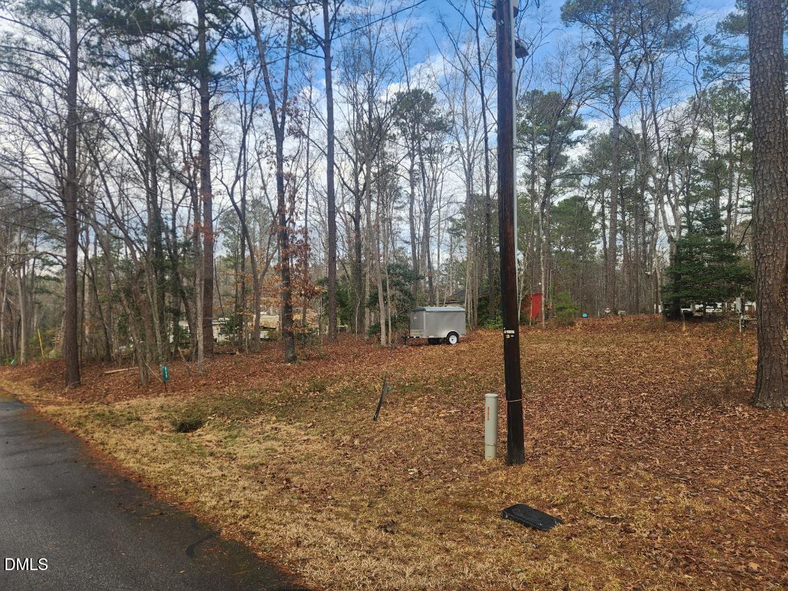 111 Miami Lane Spring Hope, NC 27882 - Photo 1 of 10 a backyard of a house with lots of green space