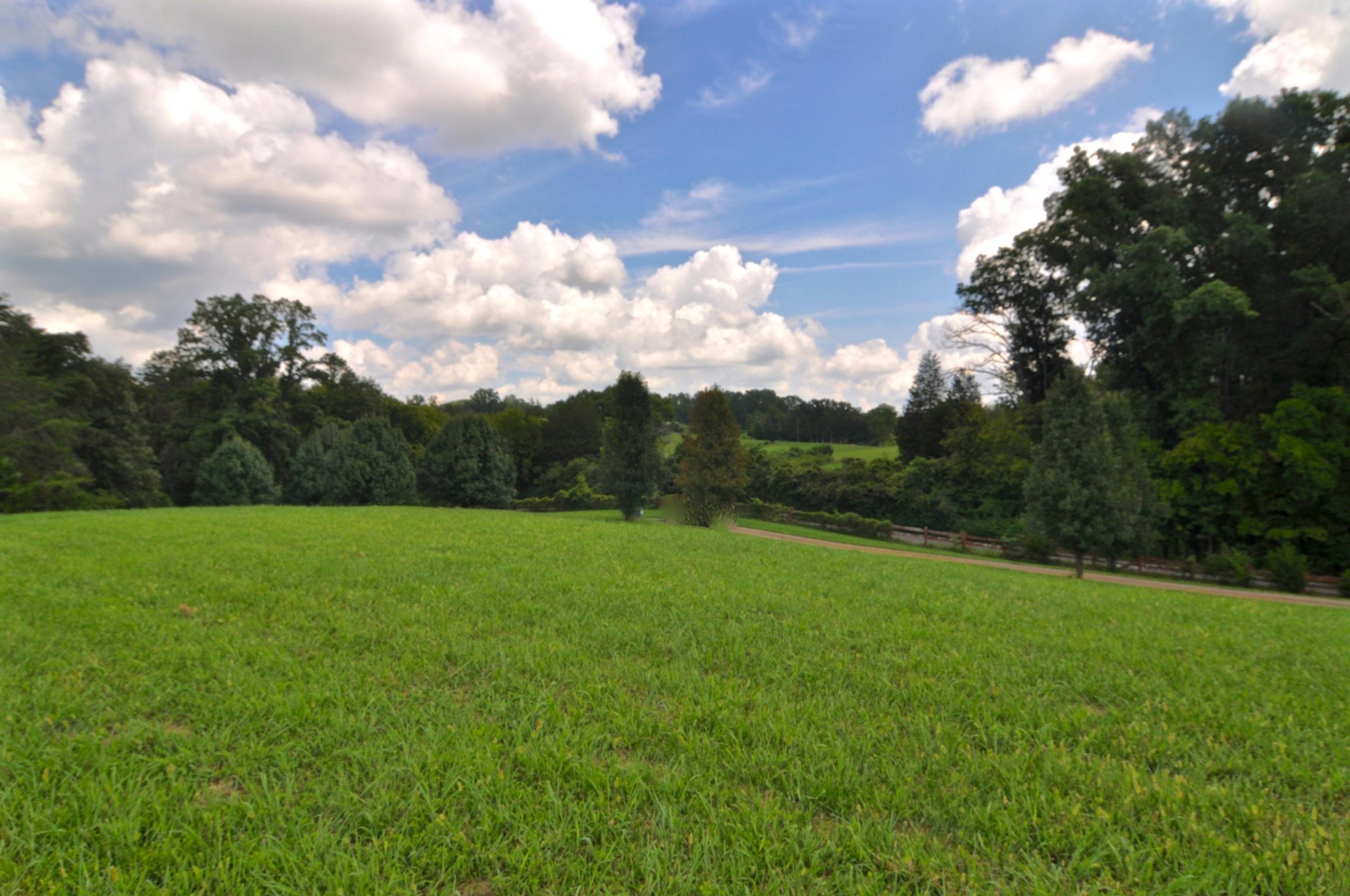 0 Marble Hill Road Friendsville, TN 37737 - Photo 1 of 7 Gallery Image 1