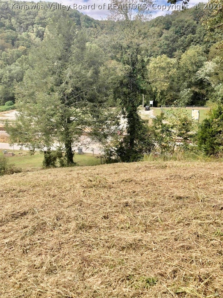 0 Vanatters Creek Road Ranger, WV 25557 - Photo 6 of 12 Gallery Image 6