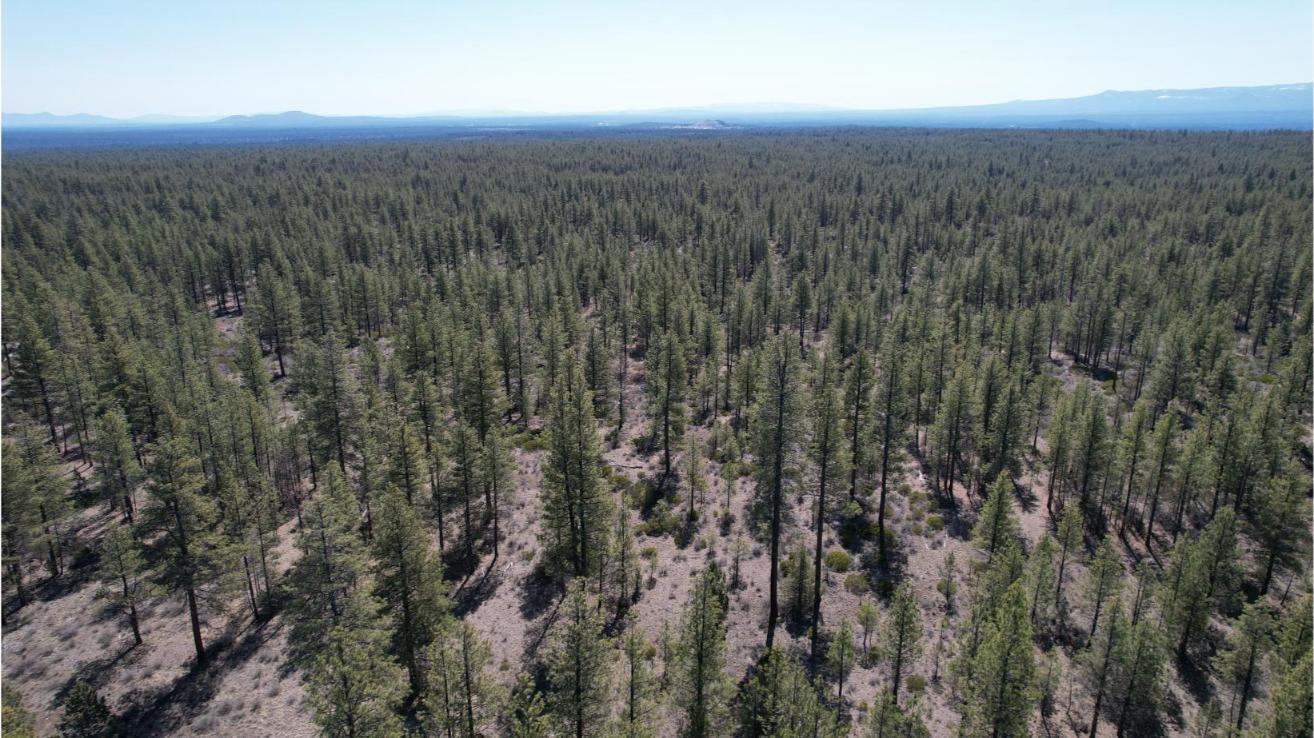 0 Southwest Grandview Loop Road Sisters, OR 97759 - Photo 24 of 35 24