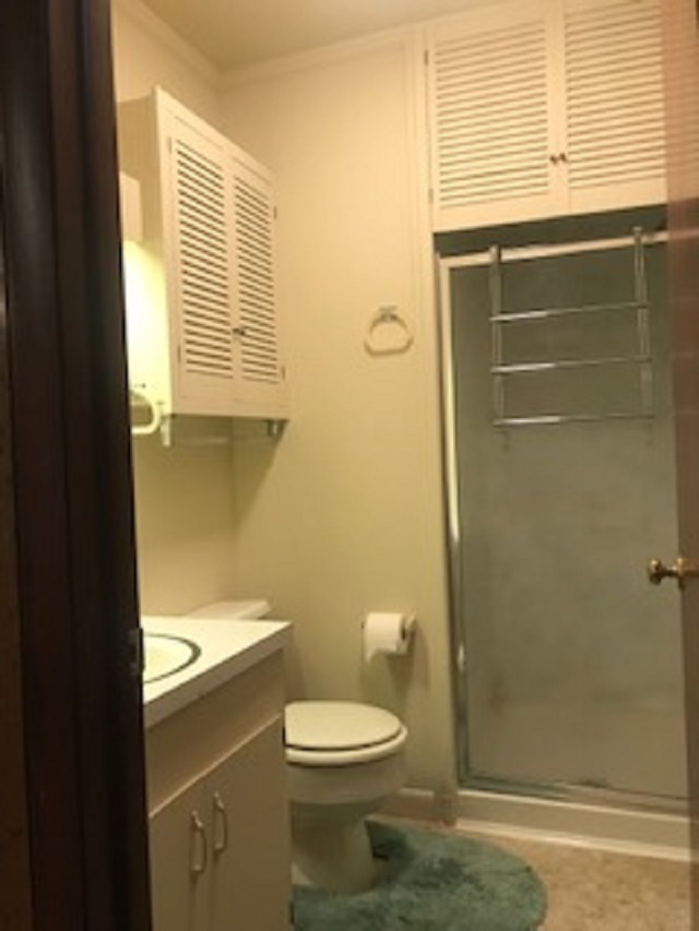 10331 Rooster Ridge Lane Dayton, VA 22821 - Photo 11 of 17 a bathroom with a toilet a sink and a window