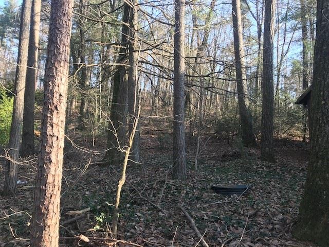 10331 Rooster Ridge Lane Dayton, VA 22821 - Photo 16 of 17 a backyard of a building