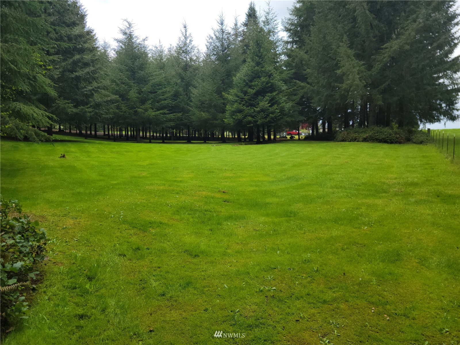 231 Monroe Road Winlock, WA 98596 - Photo 7 of 24 a view of green field