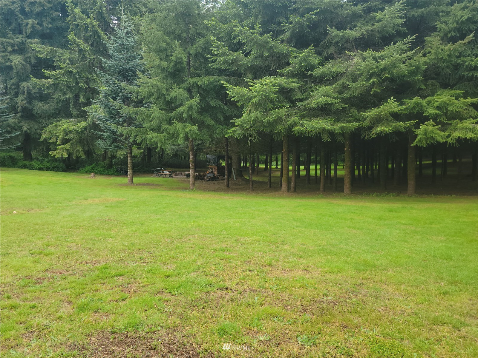 231 Monroe Road Winlock, WA 98596 - Photo 8 of 24 a view of a tree in a yard